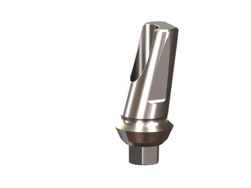 internal hex Angled Abutment